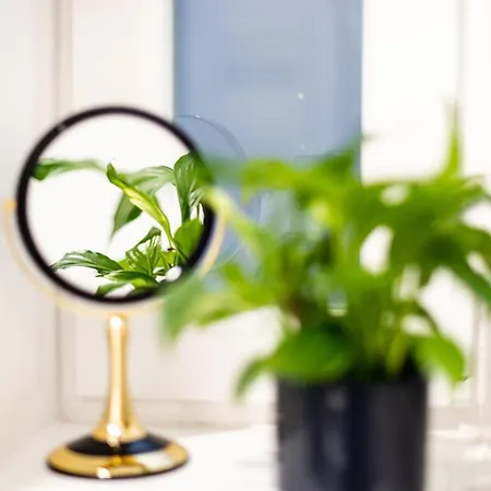 Beautiful In Center Апартаменты Сплит